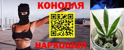 гашик Камышлов
