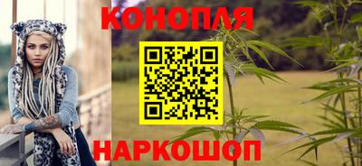 стафф Кандалакша