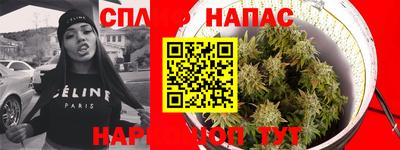 стафф Кандалакша