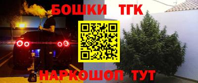 гашик Камышлов