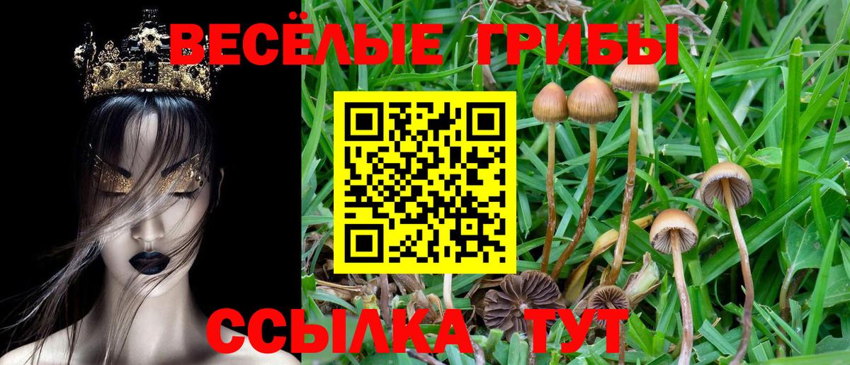 Псилоцибиновые грибы мухоморы  Вход с VPN  Псилоцибиновые грибы MAGIC MUSHROOMS  Луховицы 
